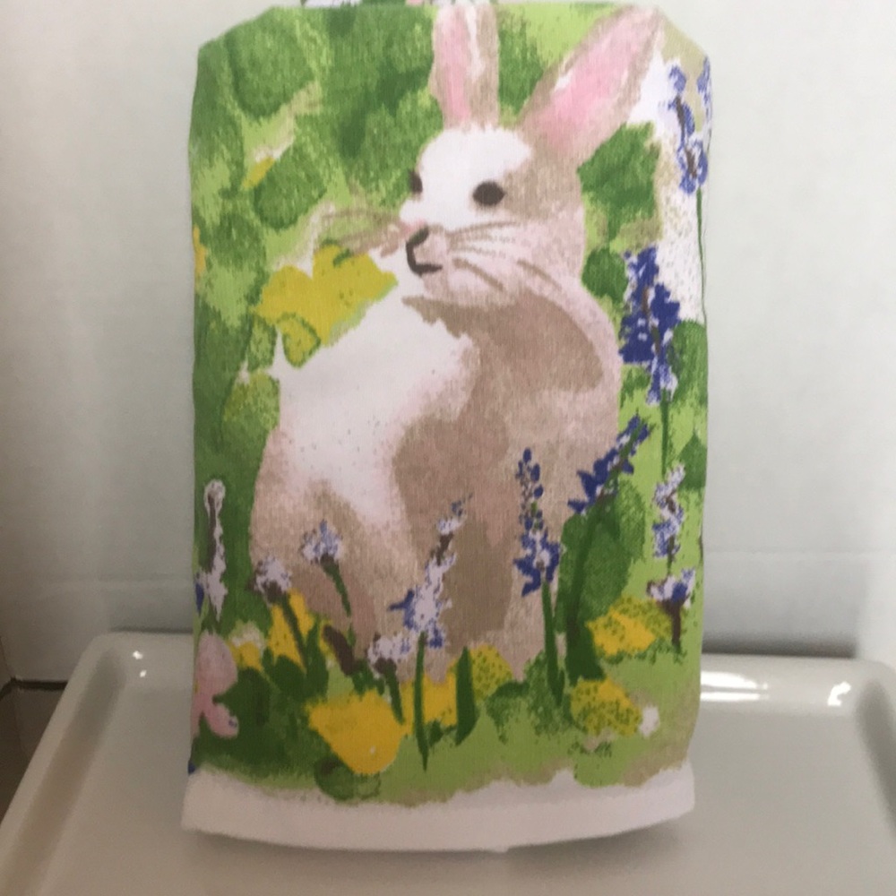 Casaba Set of 2 Cotton Easter Thick Hand Towels